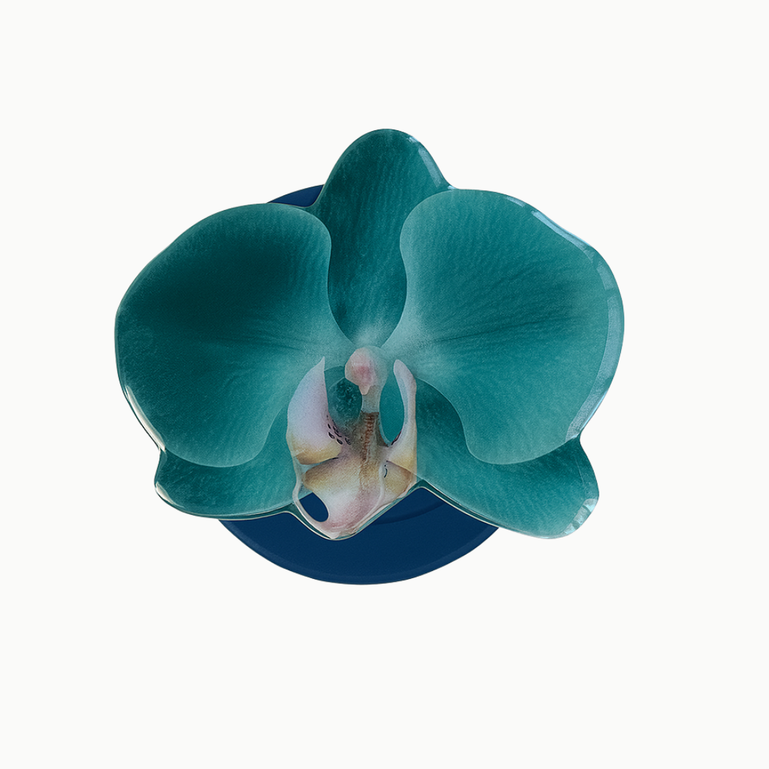 Teal Orchid