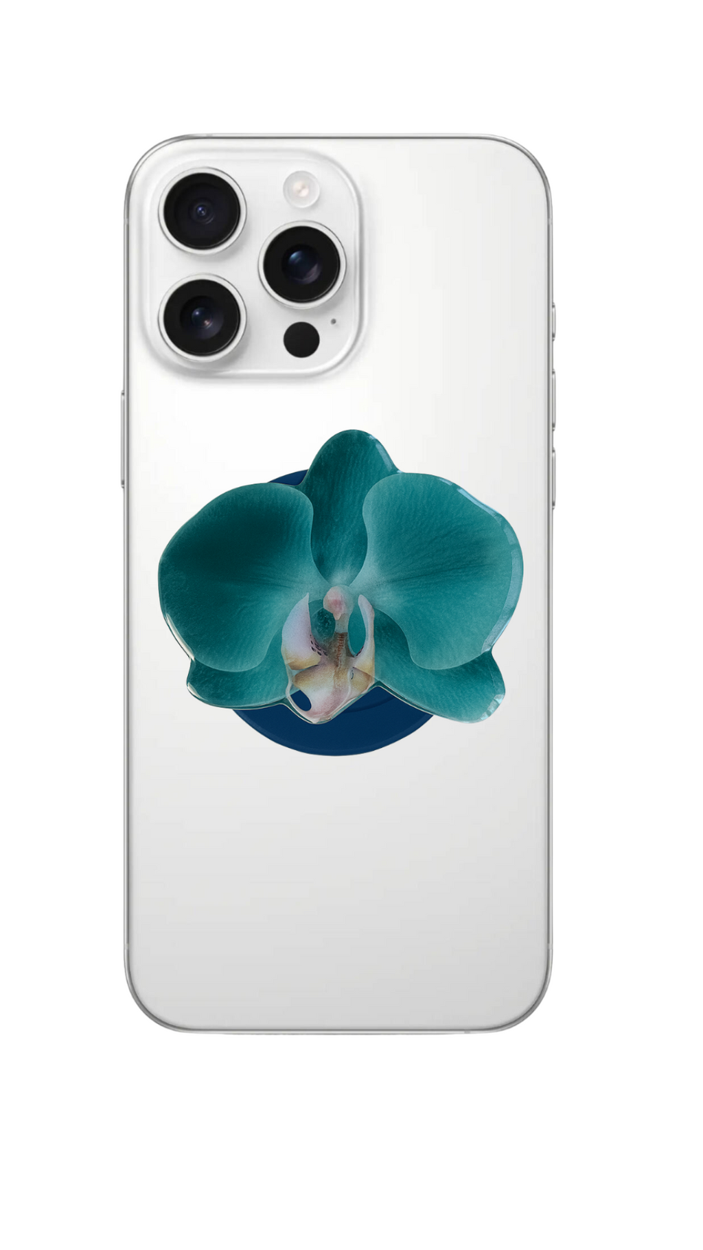 Teal Orchid