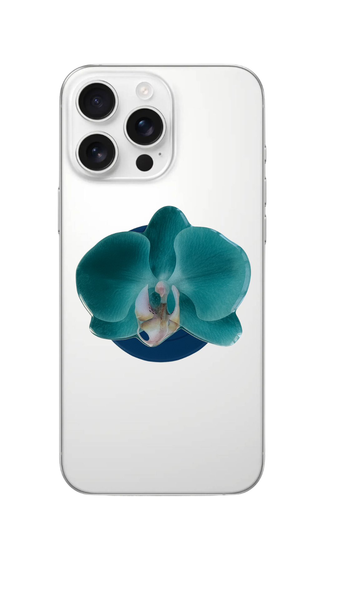 Teal Orchid