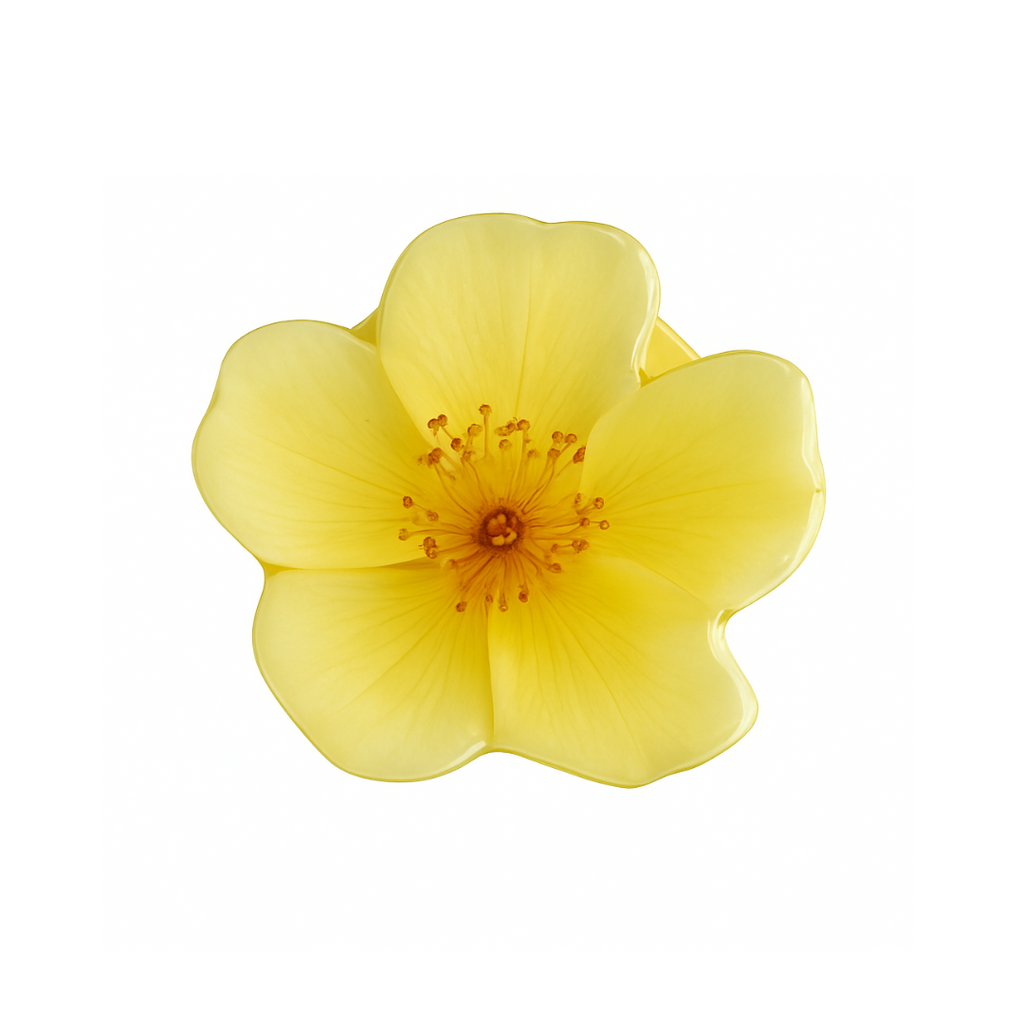 Lemon Buttercup